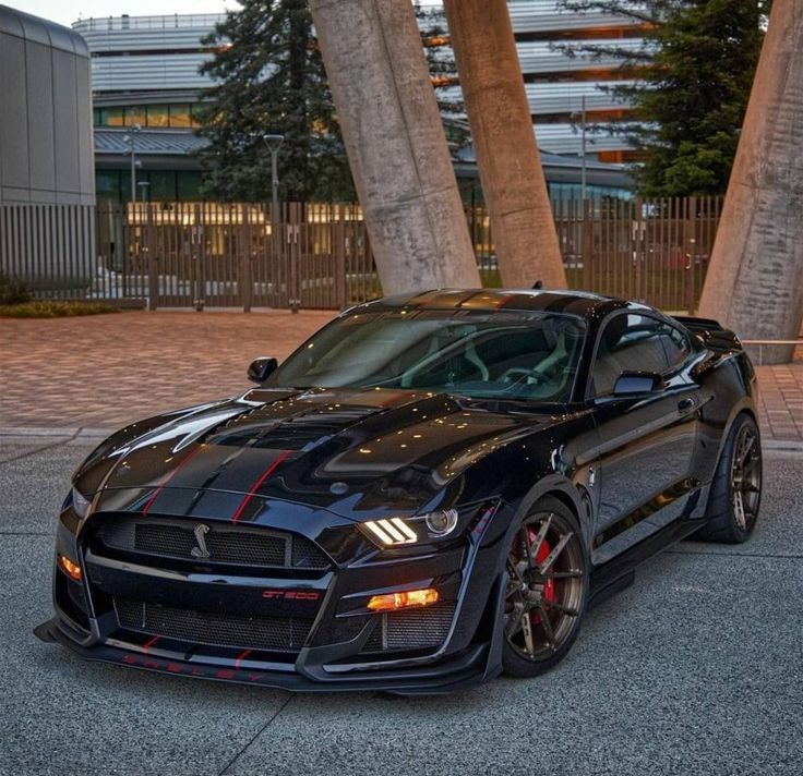 American Muscle